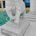 无锡 白麻花岗岩动物异形石雕-大象