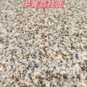 无锡黄金麻中黄荔枝面